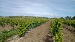  Terrain � vendre 40000 m�