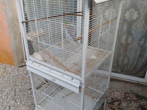 Cages de Canaris 120 66470 Sainte-marie