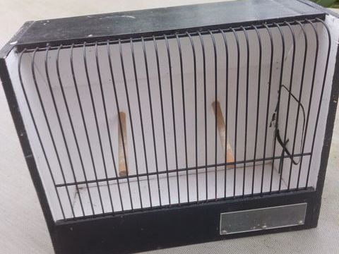 Cage d'exposition 10 44460 F�gr�ac