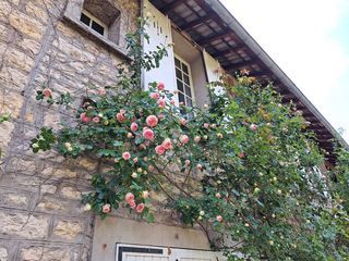  Maison � vendre 15 + pi�ces 276 m�