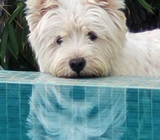  Villa � louer 5 pi�ces 130 m�