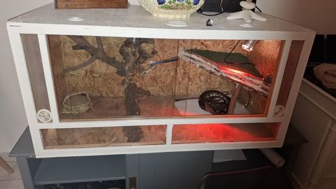 PYTHON RESIUF MÄLE 11 ANS 400 52000 Chaumont