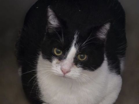 WASABI 210 27140 Gisors