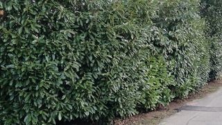  Terrain � vendre 380 m�