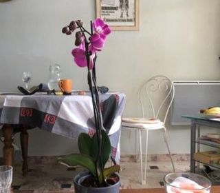  Appartement � vendre 1 pi�ce 27 m�