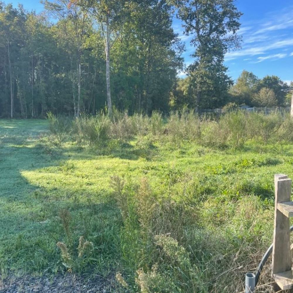 Maisons neuves   Le Pian-Mdoc (33290)