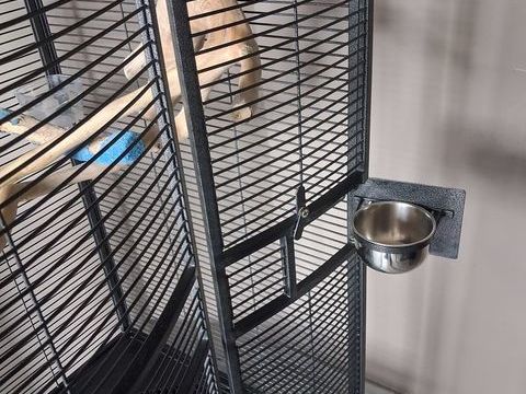 Cage 250 62320 Rouvroy