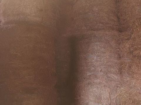 foin 20 85210 Sainte-hermine