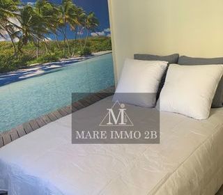  Appartement � vendre 2 pi�ces 33 m�