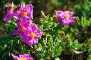  Terrain � vendre 2200 m�