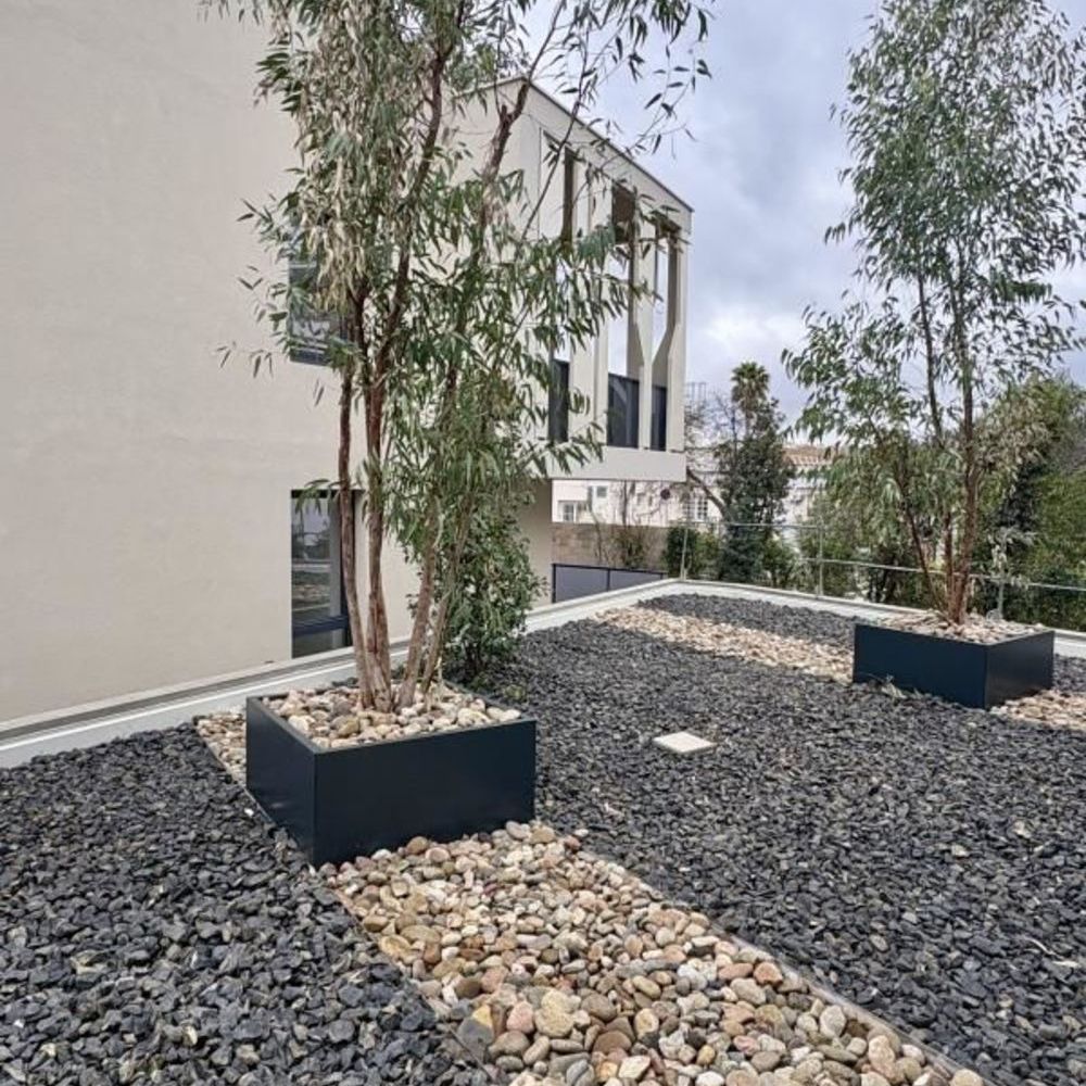 Appartements neufs   Castelnau-le-Lez (34170)