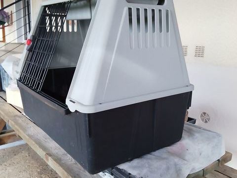 Caisse transport de chiens 50 17800 Pons