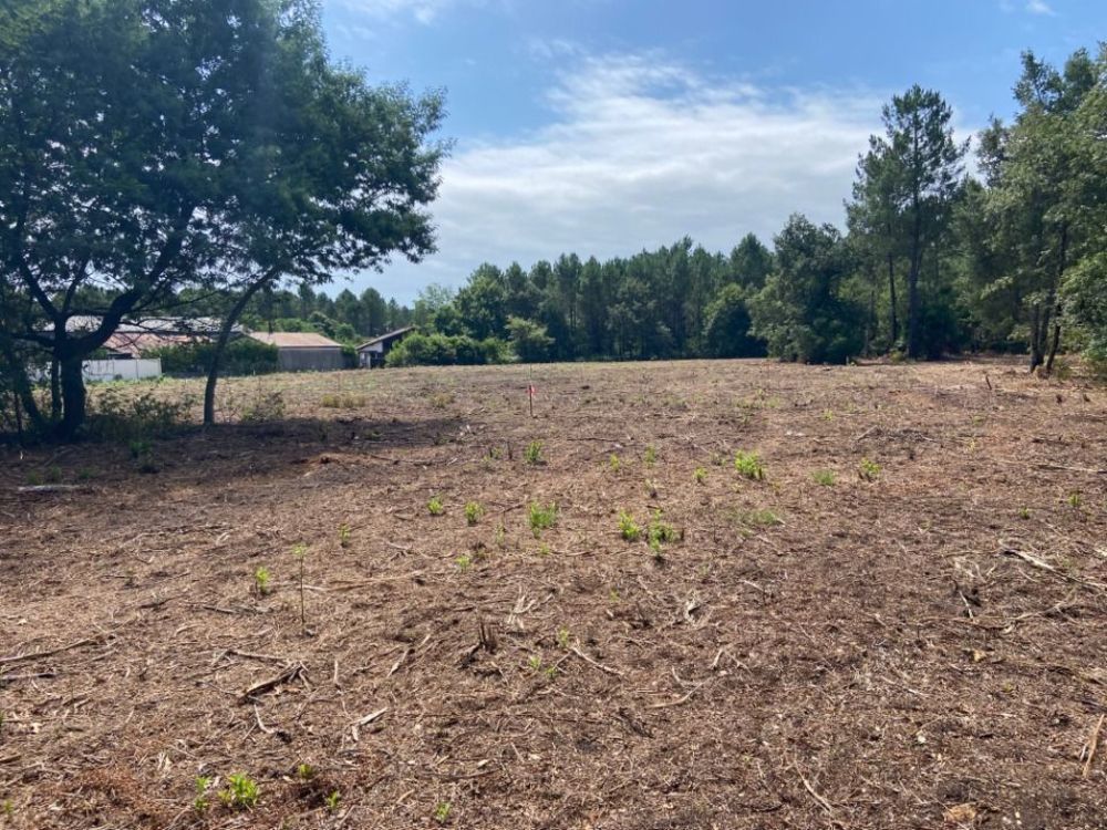 Maisons neuves   Pontenx-les-Forges (40200)