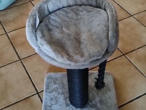 ARBRE A CHAT 15 Charantonnay (38)