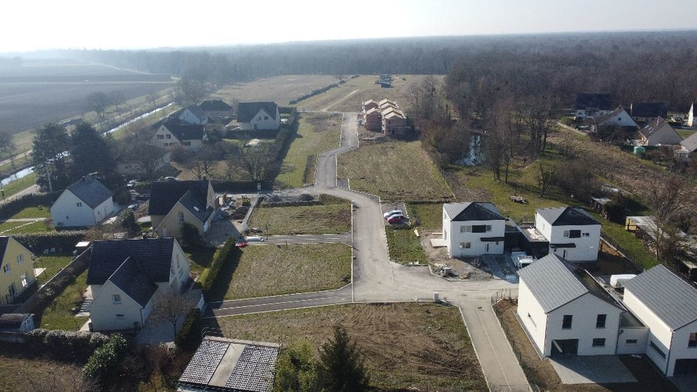   Widensolen (68320)