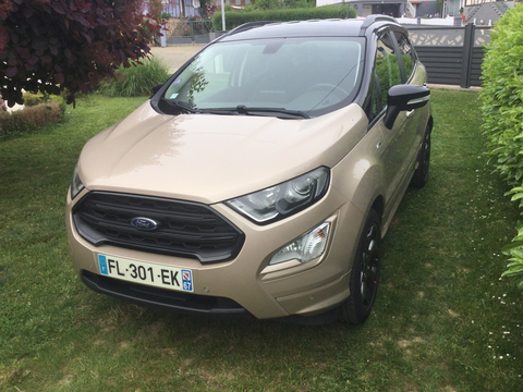 Ford Ecosport EcoSport 1.0 EcoBoost 125ch S&S BVM6 ST-Line 2019 occasion Trimbach 67470