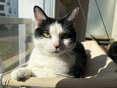 Marin 190 59113 Seclin