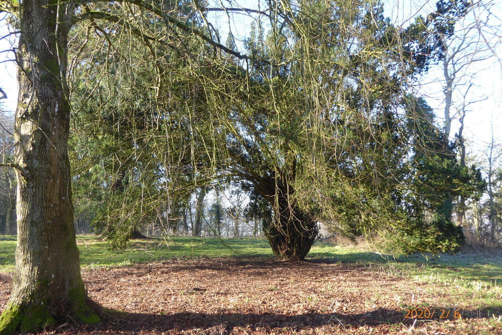 � vendre  Propri�t�/ch�teau Ham-sous-Varsberg (57880)