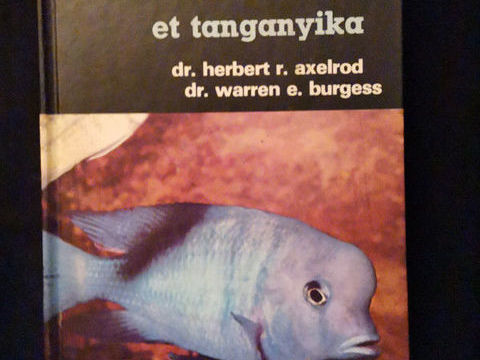 Cichlidés Africains des lacs Malawi et tanganyika 28 Pia (66)
