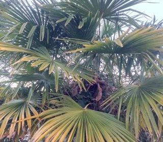  Appartement � vendre 13 pi�ces 100 m�