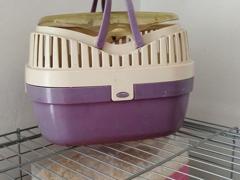 cage cochon d'Inde avec accessoires et nourriture 60 27520 Boissey-le-ch�tel