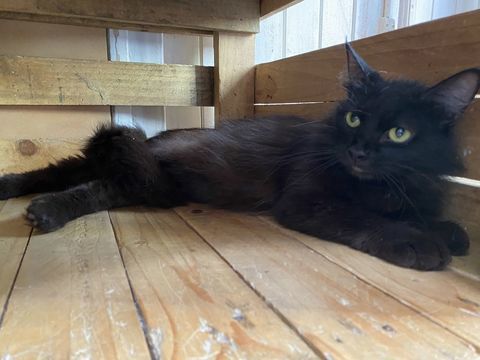 REN 200 26700 Pierrelatte