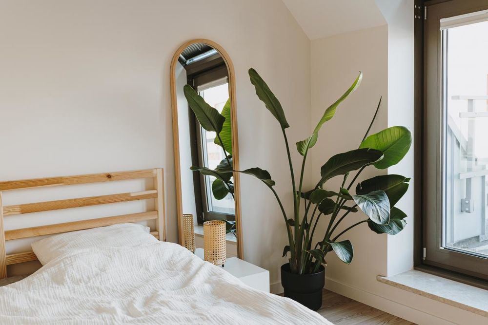 Appartements neufs   L'Ha-les-Roses (94240)