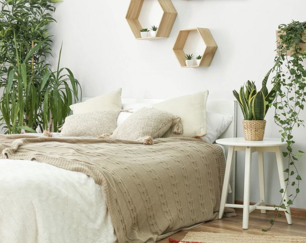 Maisons neuves   Lacanau (33680)