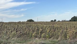  Terrain � vendre 412352 m�