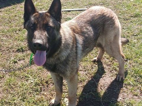 AIKA 2 200 26100 Romans-sur-is�re