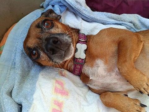 Super NANY ! 350 10000 Troyes