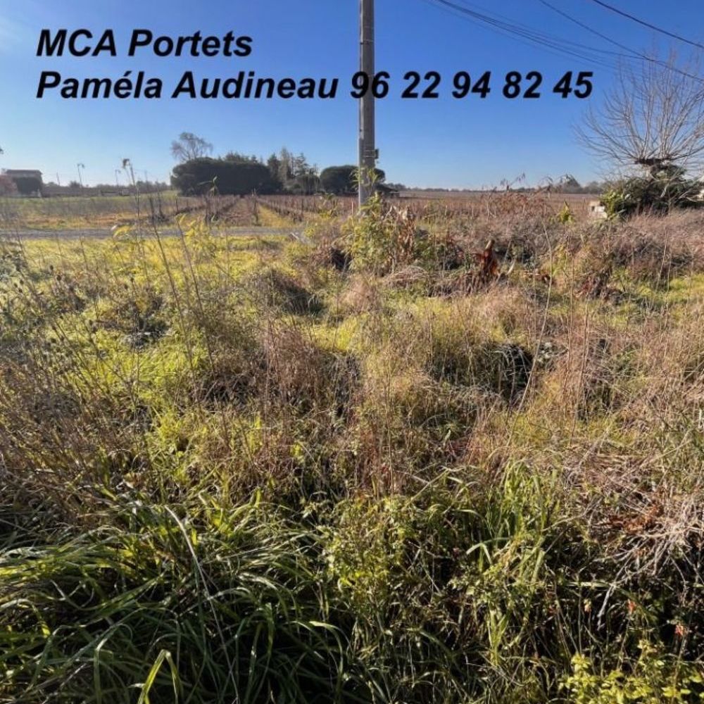 Maisons neuves   Castres-Gironde (33640)