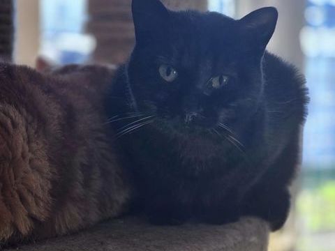 TABATA 210 27140 Gisors