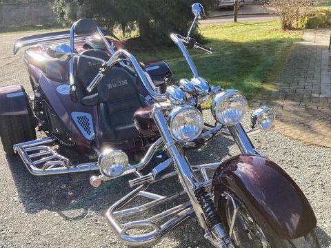 BOOM Trike 2020 occasion Fresse 70270