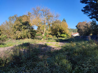  Terrain à vendre 