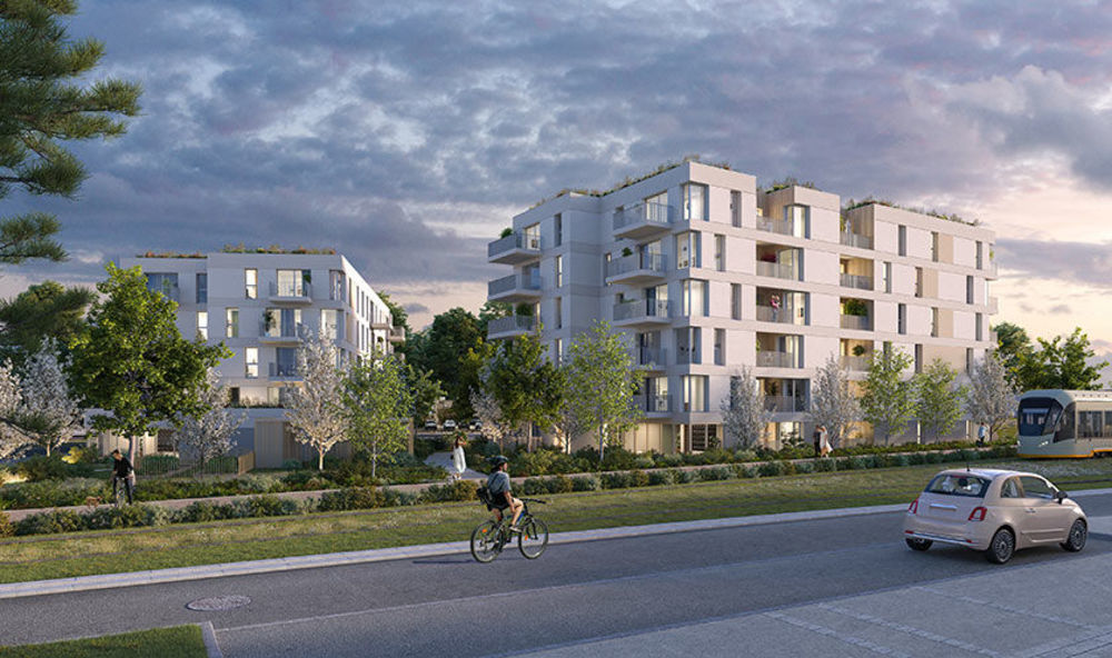   Saint-Jean-de-Braye (45800)