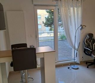  Appartement � louer 1 pi�ce 22 m�
