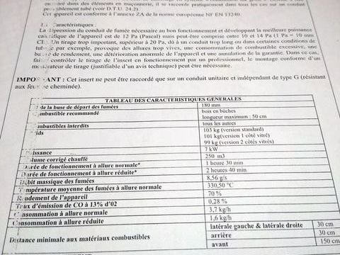 insert pour chemin�e GODIN 350 Saint-Privat-des-Vieux (30)