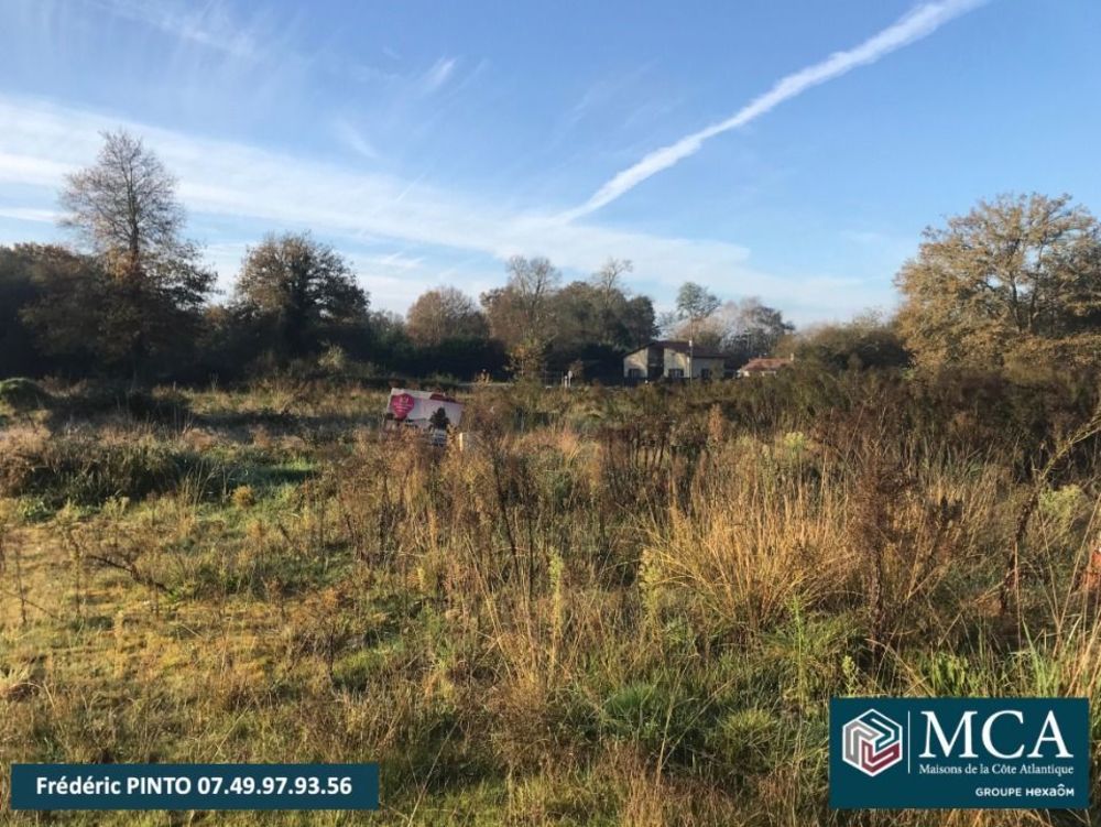 Maisons neuves   Labrit (40420)