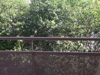  Appartement � louer 2 pi�ces 20 m�