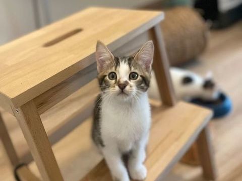 Billy 190 59000 Lille