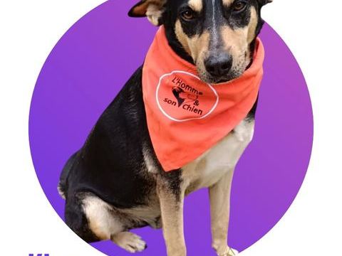 Kiss 300 28000 Chartres