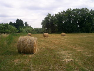  Terrain � vendre 10000 m�