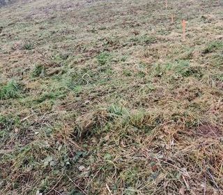  Terrain � vendre 709 m�