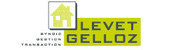 LEVET - GELLOZ IMMOBILIER
