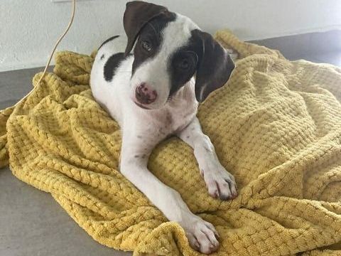 Douce LOVELY ! 300 80000 Amiens