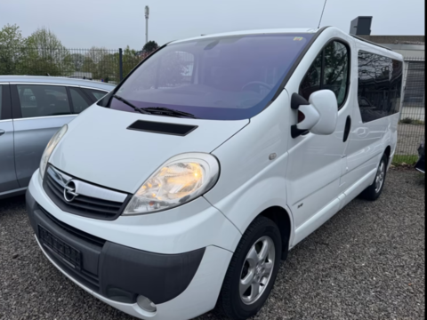 Opel Divers 114 2013 occasion Nancy 54000