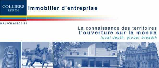 Agence COLLIERS MALSCH  Lyon