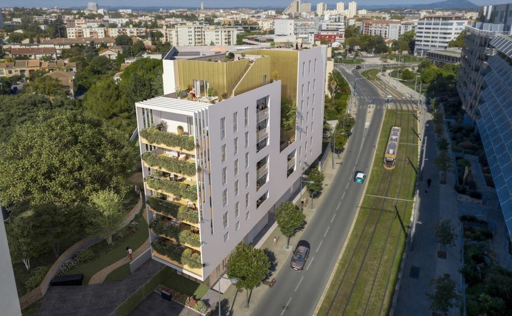 Appartements neufs   Montpellier (34000)
