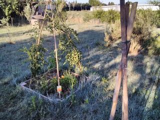  Terrain � louer 105 m�